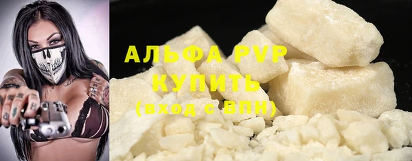 spice Богородицк