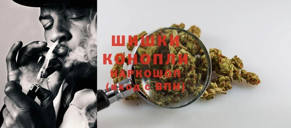 spice Богородицк