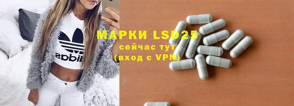 spice Богородицк
