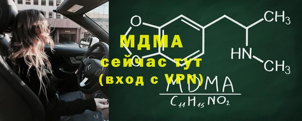 spice Богородицк