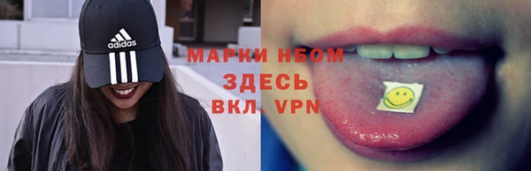 spice Богородицк