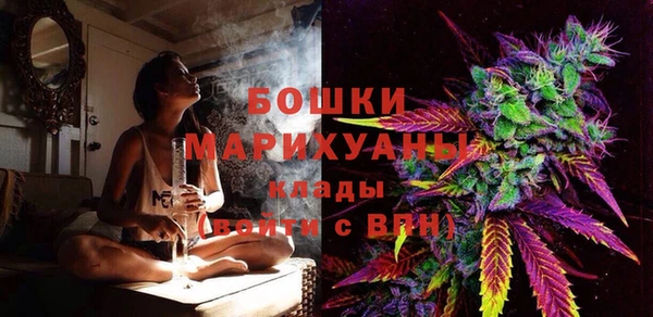 spice Богородицк