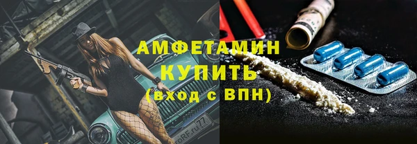 spice Богородицк