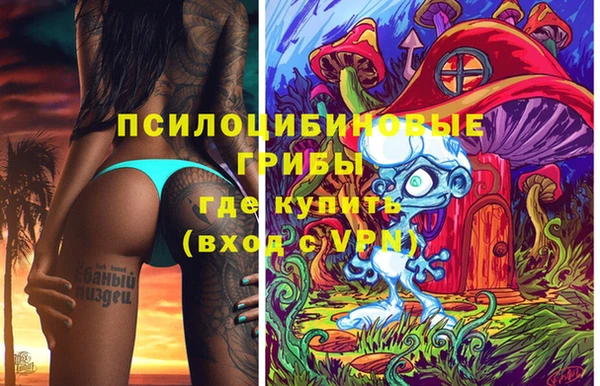 марки lsd Бородино