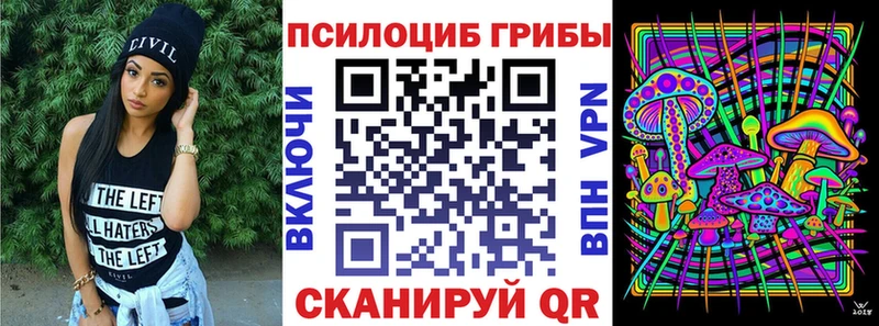 mega ТОР  Будённовск  Псилоцибиновые грибы Magic Shrooms 