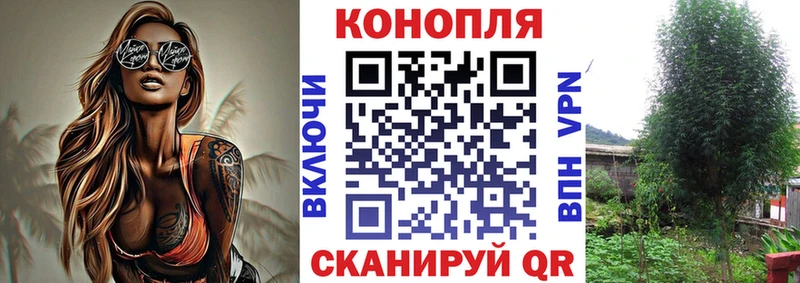 Каннабис Bruce Banner  купить закладку  Будённовск 